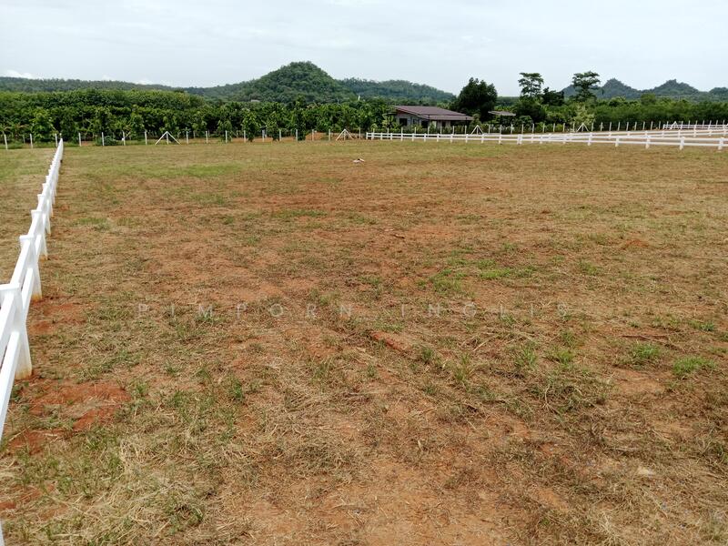 Ascot Land – ที่ดินแบ่งแปลง ถนน ไฟฟ้า น้ำ พร้อม - plots include electricity and water.