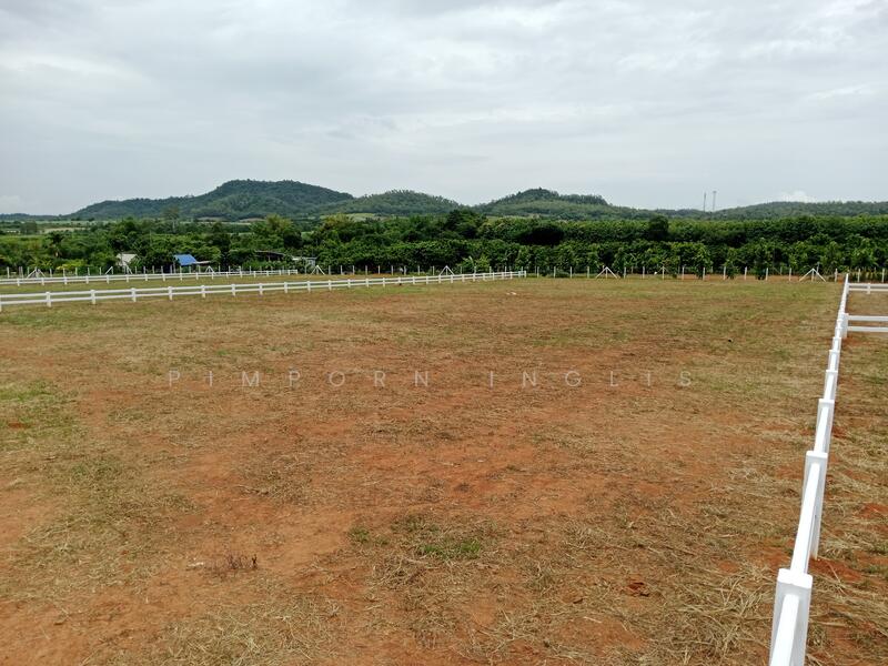 Ascot Land – ที่ดินแบ่งแปลง ถนน ไฟฟ้า น้ำ พร้อม - plots include electricity and water.