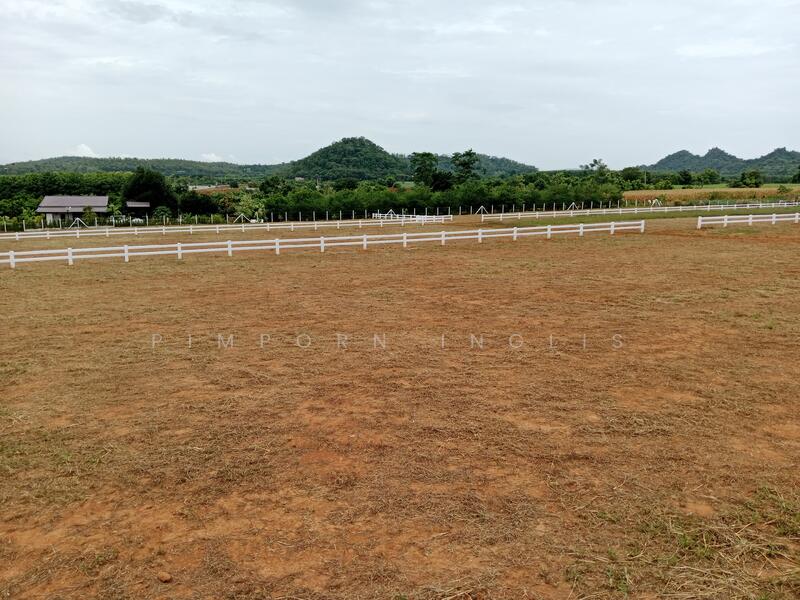 Ascot Land – ที่ดินแบ่งแปลง ถนน ไฟฟ้า น้ำ พร้อม - plots include electricity and water.