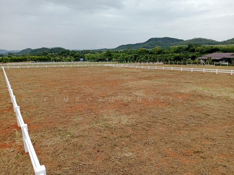Ascot Land – ที่ดินแบ่งแปลง ถนน ไฟฟ้า น้ำ พร้อม - plots include electricity and water.