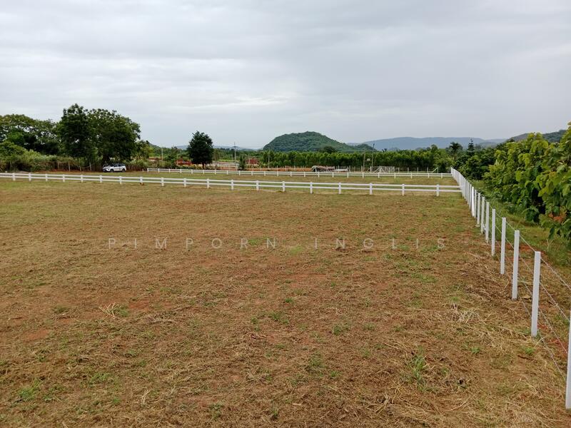 Ascot Land – ที่ดินแบ่งแปลง ถนน ไฟฟ้า น้ำ พร้อม - plots include electricity and water.