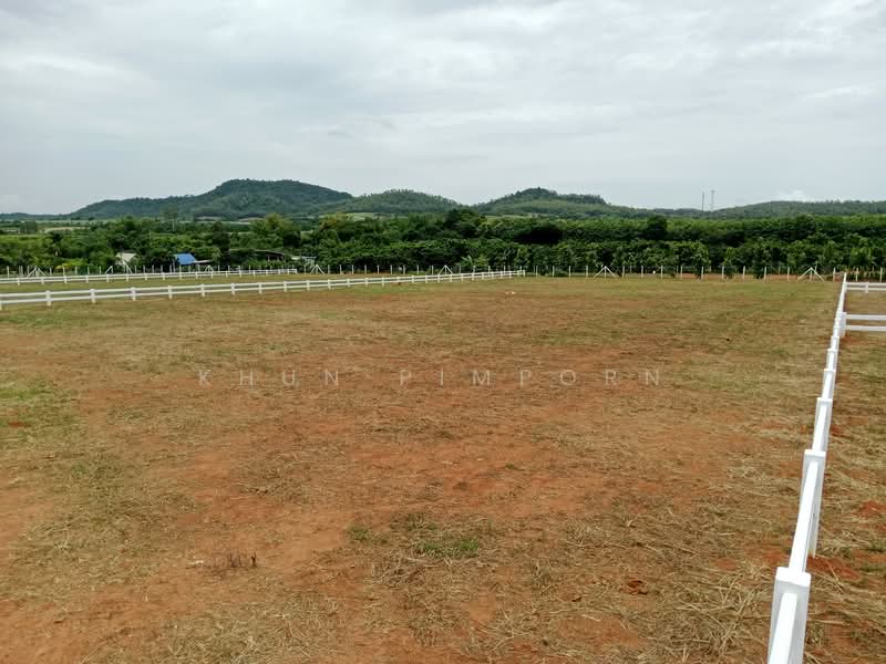 Ascot Land - Plots for Sale, Khao Yai, Nakhon Ratchasima, Khlong Muang, Pak Chong, Nakhon Ratchasima, , 1,600 sqm, Land For Sale, by Khun Pimporn, 60034790 - Ascot Land – ทุกแปลงมีน้ำและไฟฟ้าพร้อม - DDproperty.com