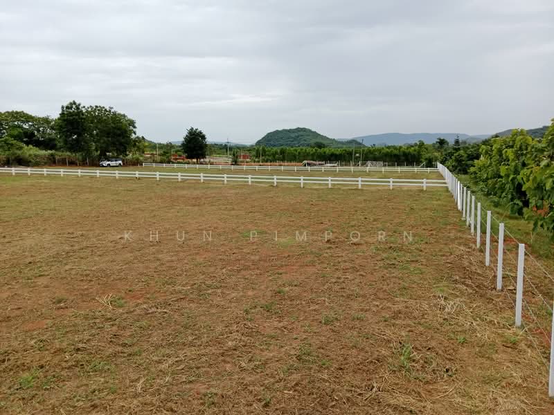 Ascot Land - Plots for Sale, Khao Yai, Nakhon Ratchasima, Khlong Muang, Pak Chong, Nakhon Ratchasima, , 1,600 sqm, Land For Sale, by Khun Pimporn, 60034790 - Ascot Land – ทุกแปลงมีน้ำและไฟฟ้าพร้อม - DDproperty.com
