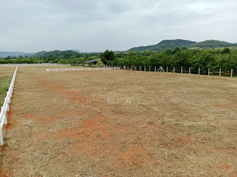 Ascot Land - Plots for Sale, Khao Yai, Nakhon Ratchasima, Khlong Muang, Pak Chong, Nakhon Ratchasima, , 1,600 sqm, Land For Sale, by Khun Pimporn, 60034790 - Ascot Land – ทุกแปลงมีน้ำและไฟฟ้าพร้อม - DDproperty.com