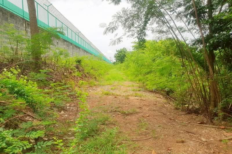 ที่ดินเปล่า ระแหง-ลาดหลุมแก้ว เนื้อที่ 3 ไร่ ติดบจก.ชาญนครวิศวกรรม, ตรงข้ามปั้ม ปตท. ม.12, ปทุมธานี, ระแหง, ลาดหลุมแก้ว, ปทุมธานี, 4,800 ตร.ม., ที่ดิน ขาย, โดย ชนะชาติ นนท์ตา, 60034803 - DDproperty.com