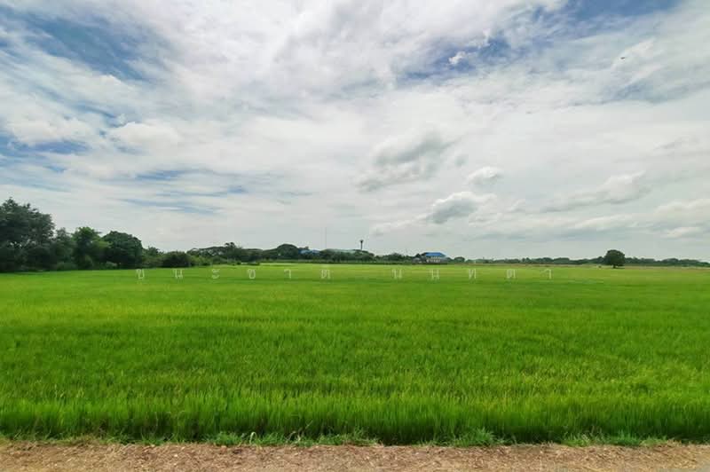 ที่ดินเปล่า ถนนเลียบคลองหางบางศาลา, อ่างทอง, สายเอเชีย, จรเข้ร้อง, ไชโย, อ่างทอง, 18,111 ตร.ม., ที่ดิน ขาย, โดย ชนะชาติ นนท์ตา, 60035840 - DDproperty.com