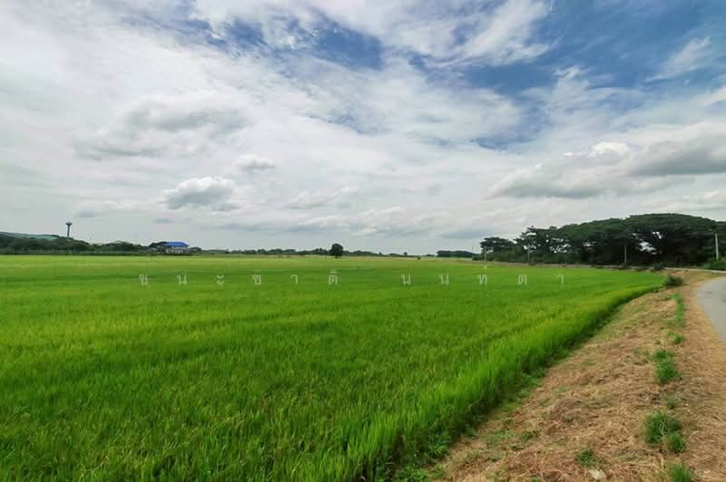 ที่ดินเปล่า ถนนเลียบคลองหางบางศาลา, Ang Thong, สายเอเชีย, Chora-khe Rong, Chaiyo, Ang Thong, , 18,111 sqm, Land For Sale, by ชนะชาติ นนท์ตา, 60035840 - DDproperty.com