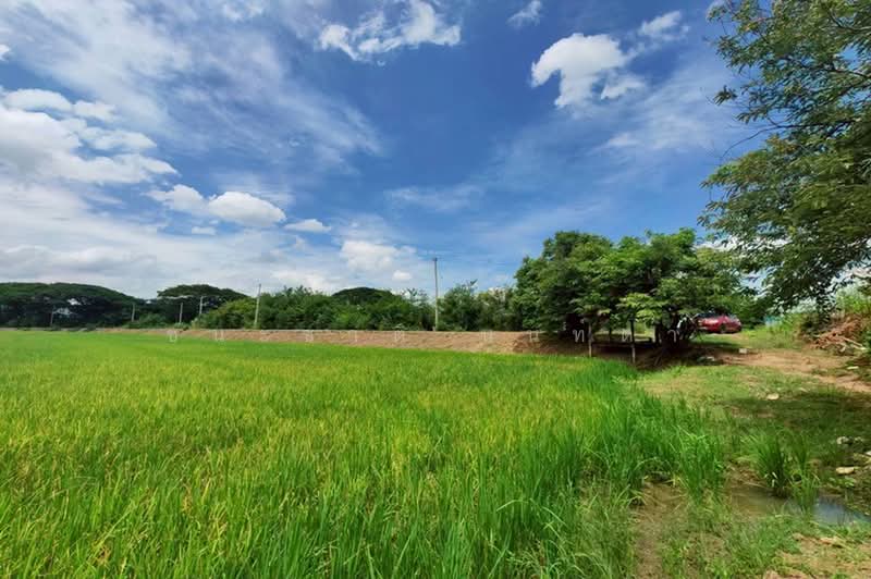 ที่ดินเปล่า ถนนเลียบคลองหางบางศาลา, Ang Thong, สายเอเชีย, Chora-khe Rong, Chaiyo, Ang Thong, , 18,111 sqm, Land For Sale, by ชนะชาติ นนท์ตา, 60035840 - DDproperty.com
