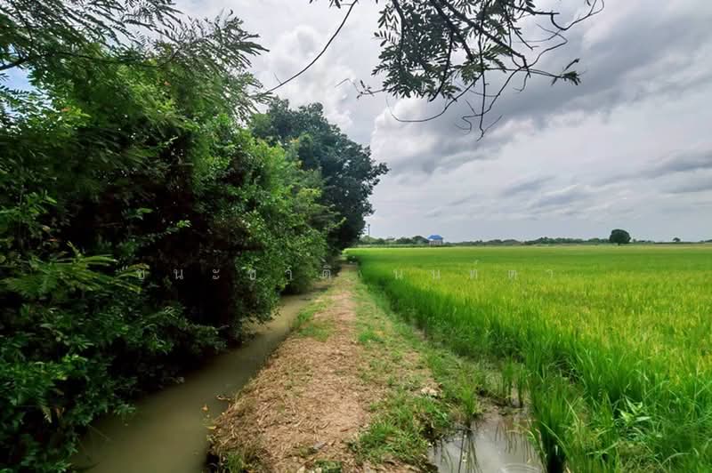 ที่ดินเปล่า ถนนเลียบคลองหางบางศาลา, Ang Thong, สายเอเชีย, Chora-khe Rong, Chaiyo, Ang Thong, , 18,111 sqm, Land For Sale, by ชนะชาติ นนท์ตา, 60035840 - DDproperty.com