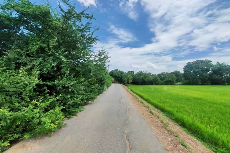 ที่ดินเปล่า ถนนเลียบคลองหางบางศาลา, Ang Thong, สายเอเชีย, Chora-khe Rong, Chaiyo, Ang Thong, , 18,111 sqm, Land For Sale, by ชนะชาติ นนท์ตา, 60035840 - DDproperty.com