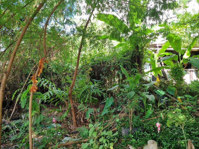 ขายที่ดินถนนสุขุมวิท ย่านปรีดีพนมยงค์ 348 ตร.ว. คลองตันเหนือ วัฒนา, กรุงเทพ, สุขุมวิท 71, คลองตันเหนือ, วัฒนา, กรุงเทพ, 1,392 ตร.ม., ที่ดิน ขาย, โดย สุวพันธุ์ ศรีสังข์สุข, 60035927 - DDproperty.com