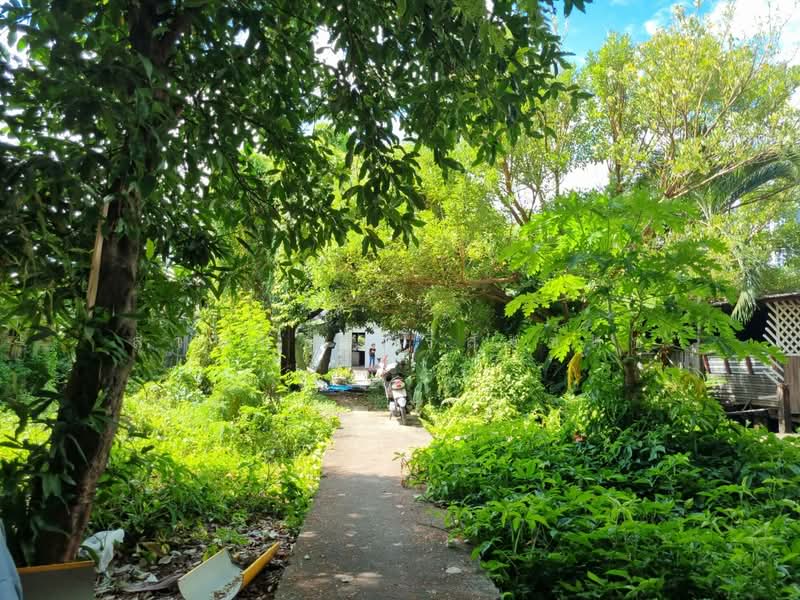ขายที่ดินถนนสุขุมวิท ย่านปรีดีพนมยงค์ 348 ตร.ว. คลองตันเหนือ วัฒนา, กรุงเทพ, สุขุมวิท 71, คลองตันเหนือ, วัฒนา, กรุงเทพ, 1,392 ตร.ม., ที่ดิน ขาย, โดย สุวพันธุ์ ศรีสังข์สุข, 60035927 - DDproperty.com
