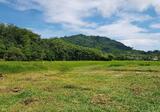 ขายที่ดิน ในทำเล ถลาง - DDproperty.com
