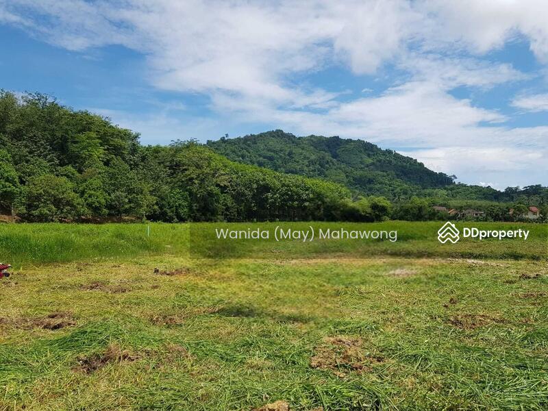 For Sale - 25 Rai Land Plot Near Nai Yang Beach For Sale, Phuket
