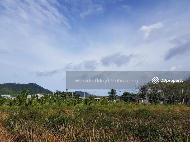For Sale - 25 Rai Land Plot Near Nai Yang Beach For Sale, Phuket