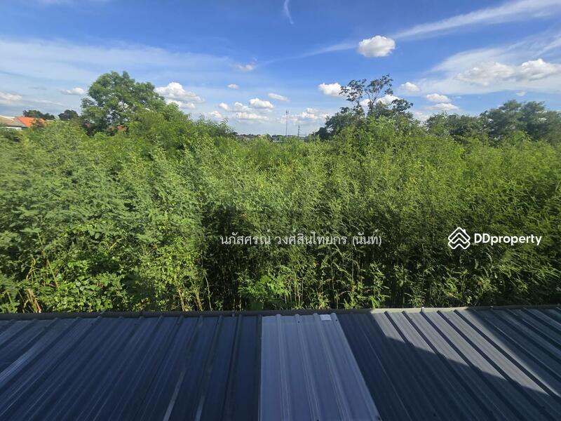 ขาย - The Plant Rangsit Klong 4-Wongwaen : เดอะ แพลนท์ รังสิต คลอง 4-วงแหวน, ปทุมธานี