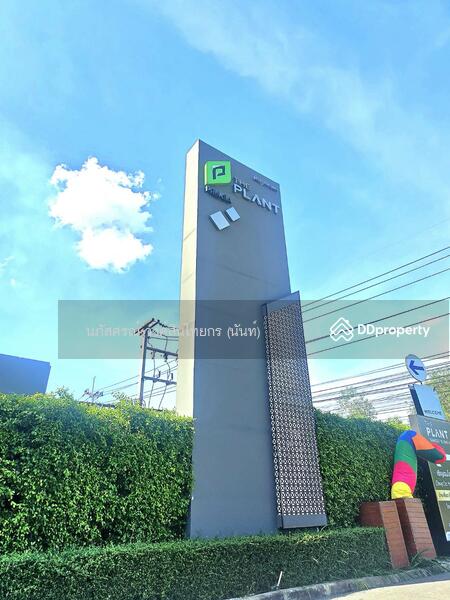 ขาย - The Plant Rangsit Klong 4-Wongwaen : เดอะ แพลนท์ รังสิต คลอง 4-วงแหวน, ปทุมธานี