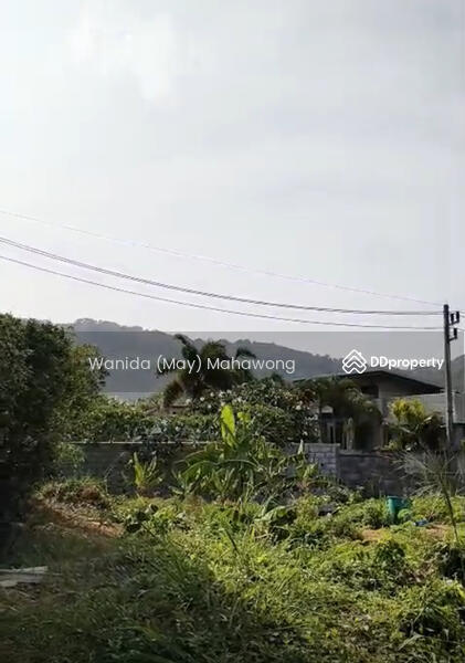 ขาย - ขาย ที่ดิน ในโครงการ Nai Harn Baan Bua, ภูเก็ต