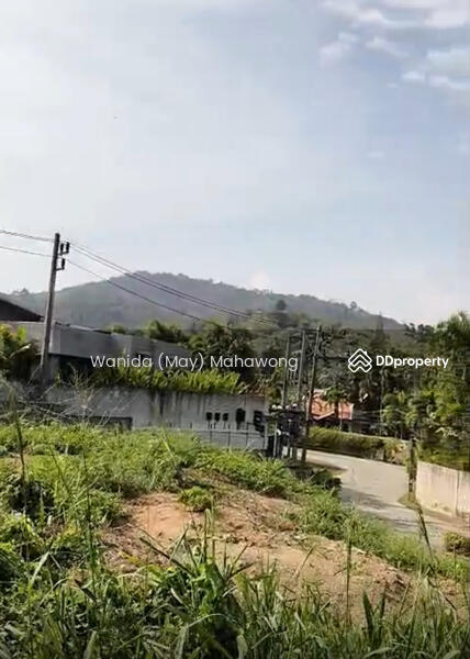 ขาย - ขาย ที่ดิน ในโครงการ Nai Harn Baan Bua, ภูเก็ต