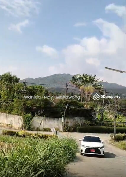 ขาย - ขาย ที่ดิน ในโครงการ Nai Harn Baan Bua, ภูเก็ต