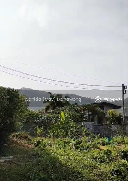 ขาย - ขาย ที่ดิน ในโครงการ Nai Harn Baan Bua, ภูเก็ต