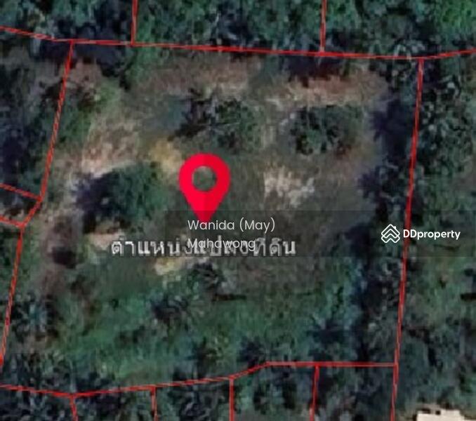 For Sale - Land for Sale – Paklok, Phuket | 4,132.8 SQM | THB 15.5M, Phuket
