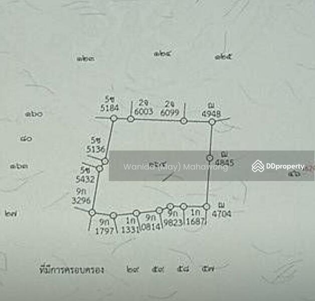 For Sale - Land for Sale – Paklok, Phuket | 4,132.8 SQM | THB 15.5M, Phuket
