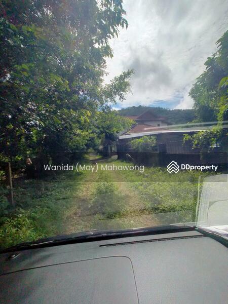 ขาย - ขายที่ดิน ในทำเล ถลาง, ภูเก็ต, ภูเก็ต