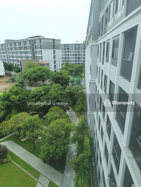 For Sale - Dcondo Campus Hideaway, Pathum Thani