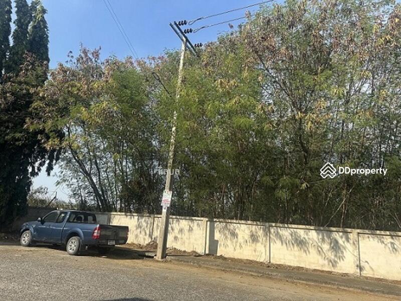 ขาย - อรุณสุนทรีแฟคตอรี่แลนด์, นนทบุรี