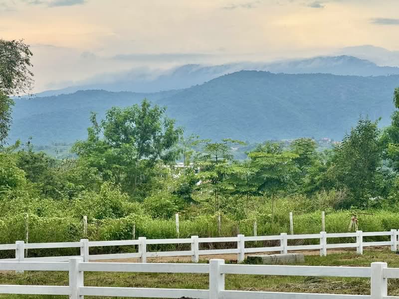 Land for u, นครราชสีมา, โป่งตาลอง, ปากช่อง, นครราชสีมา, 800 ตร.ม., ที่ดิน ขาย, โดย Tanyaras Srimuang, 60036324 - DDproperty.com