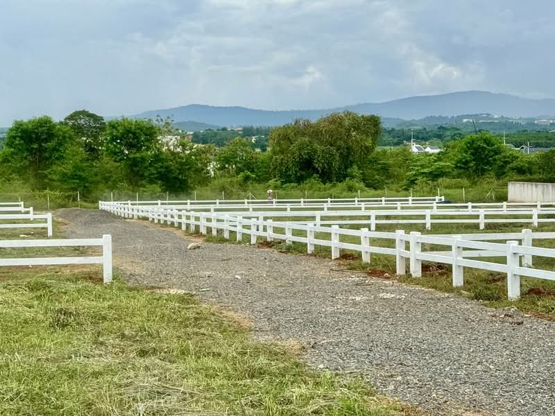 Land for u, Nakhon Ratchasima, Pong Ta Long, Pak Chong, Nakhon Ratchasima, , 800 sqm, Land For Sale, by Tanyaras Srimuang, 60036324 - DDproperty.com