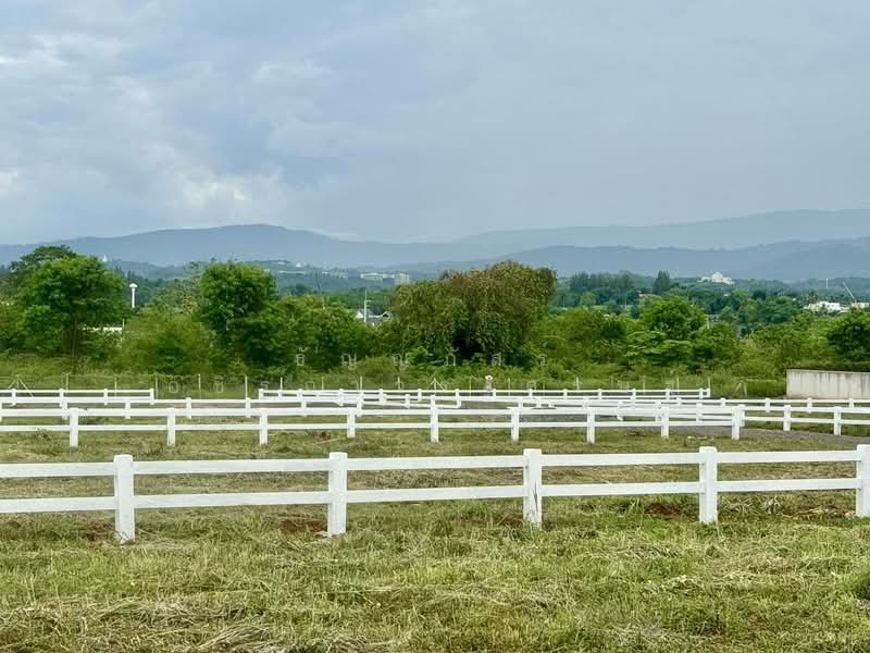 Land for u, นครราชสีมา, โป่งตาลอง, ปากช่อง, นครราชสีมา, 800 ตร.ม., ที่ดิน ขาย, โดย Tanyaras Srimuang, 60036324 - DDproperty.com