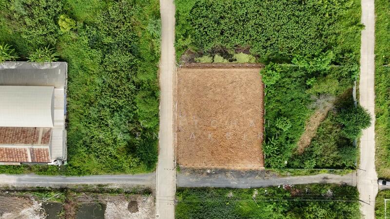 ขายที่ดิน ไอยรา6/3 แปลงหัวมุม พื้นที่200ตรว. (พร้อมถมให่้) คลองสอง คลองหลวง ปทุมธานี, ปทุมธานี, คลองสอง, คลองหลวง, ปทุมธานี, 800 ตร.ม., ที่ดิน ขาย, โดย Pichitchai Kaensaksiri, 60036454 - DDproperty.com