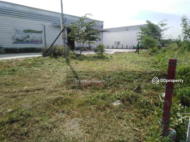 For Rent - HR22โกดังให้เช่า อมตะนครหนองตำลึง, Chon Buri