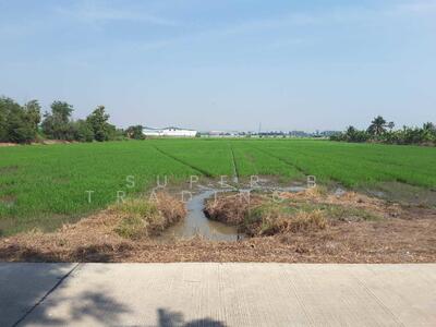 ขาย - ขาย ที่ดิน 11 ไร่ 12 ตร.ว. ท้ายเกาะ สามโคก ปทุมธานี, ปทุมธานี