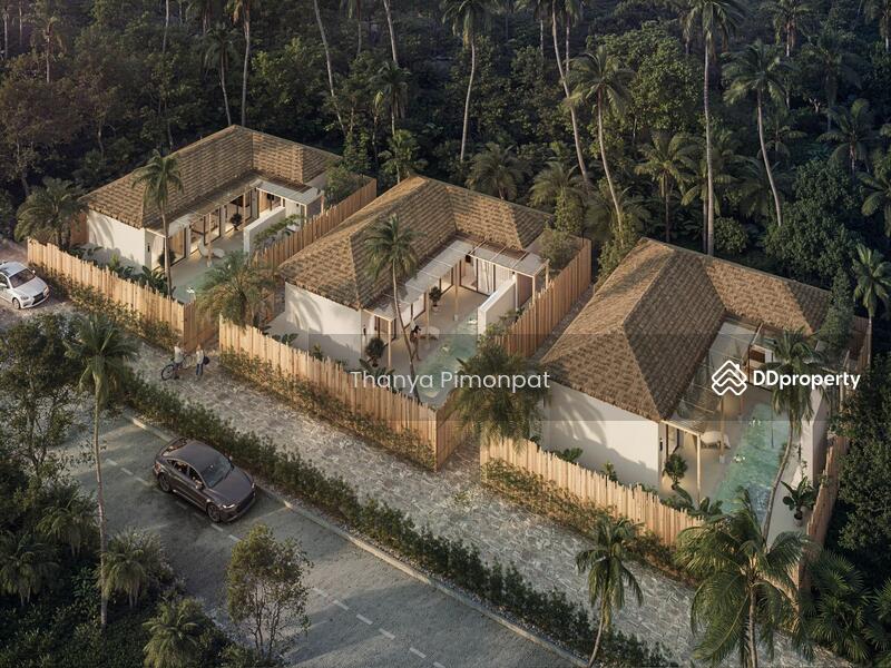 ขาย - ขายวิลล่า 2 ห้องนอน ในทำเล เกาะพะงัน, สุราษฎร์ธานี, สุราษฎร์ธานี