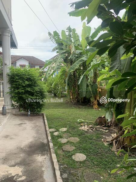 ให้เช่า - บ้านเดี่ยว พุทธมณฑล สาย 2, กรุงเทพ