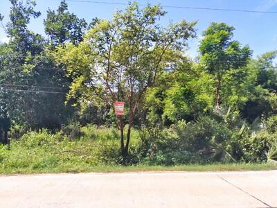 ขาย - ที่ดินแจระแม อุบลราชธานี, อุบลราชธานี