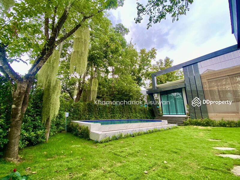 For Rent - Pool Villa House for Sale and Rent in Chiang Mai, Chiang Mai