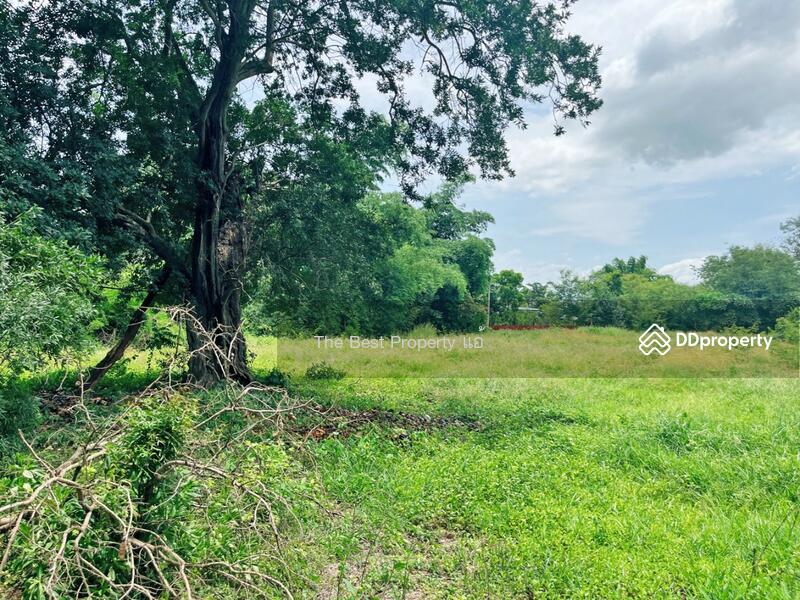 For Sale - ที่ดินหนองขาหย่าง อุทัยธานี, Uthai Thani
