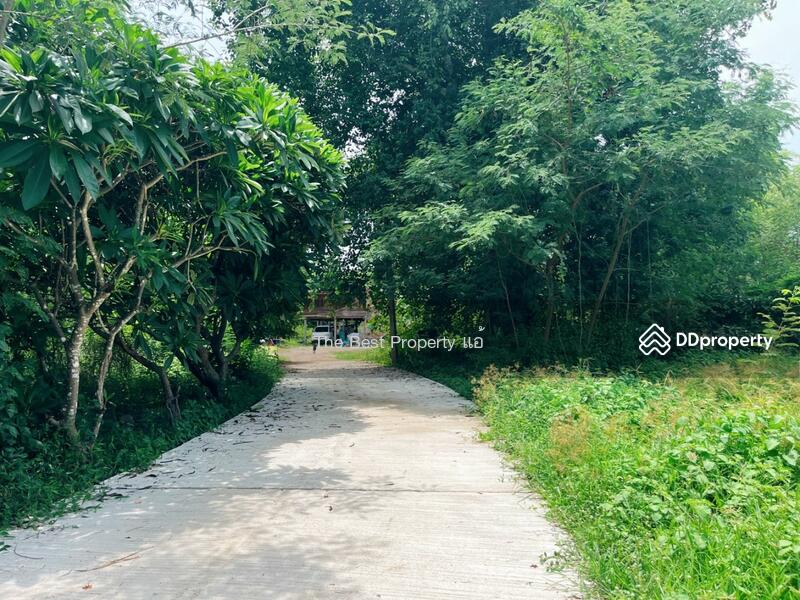 For Sale - ที่ดินหนองขาหย่าง อุทัยธานี, Uthai Thani