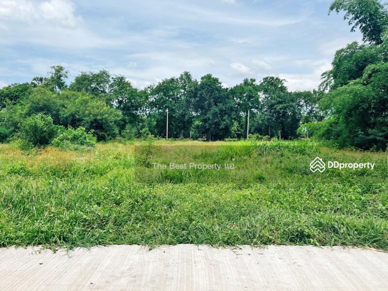 For Sale - ที่ดินหนองขาหย่าง อุทัยธานี, Uthai Thani