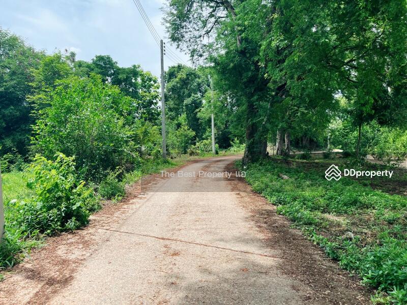 For Sale - ที่ดินหนองขาหย่าง อุทัยธานี, Uthai Thani