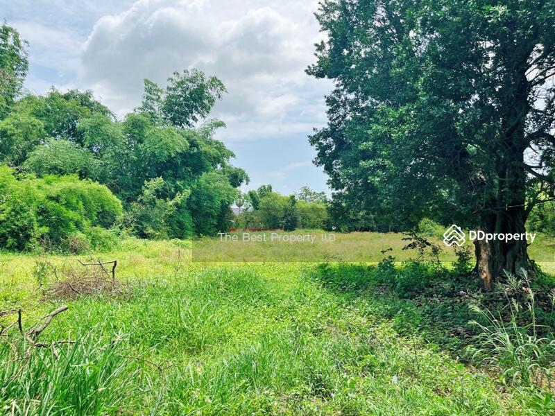 For Sale - ที่ดินหนองขาหย่าง อุทัยธานี, Uthai Thani