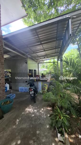 ให้เช่า - บ้านพร้อมกิจการร้านอาหารสำหรับขาย, เชียงใหม่