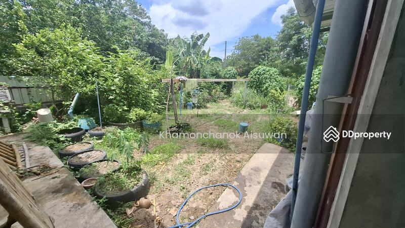 For Rent - House for Sale withe Restrurant Business, Chiang Mai
