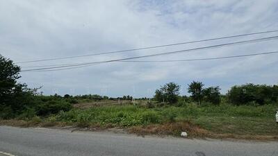 ขาย - ที่ดิน นครชัยศรี นครปฐม ใกล้วัดดอนยายหอม ถ.บ้านแพ้ว ซ.เสมาฯ 4 ต.โคกพระเจดีย์ อ.นครชัยศรี จ.นครปฐม, นครปฐม