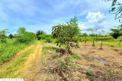 ขาย - BO-924567 ที่ดินบ้านใหม่ 9 ไร่ 237 ตร.ว. นครราชสีมา ใกล้ที่ว่าการอำเภอครบุรี, นครราชสีมา