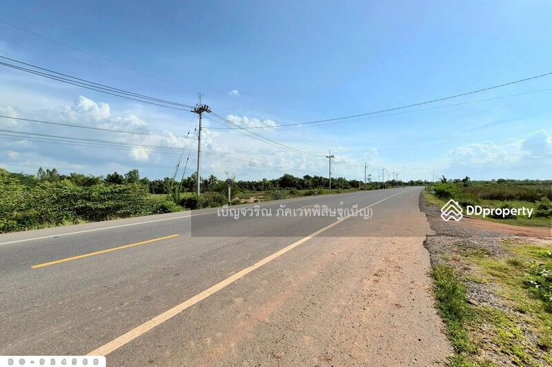 For Sale - BO-924568 Land in Non Thai, 17 rai 142 sq w, Nakorn Ratchasima, near Lotus Non Thai, Nakhon Ratchasima